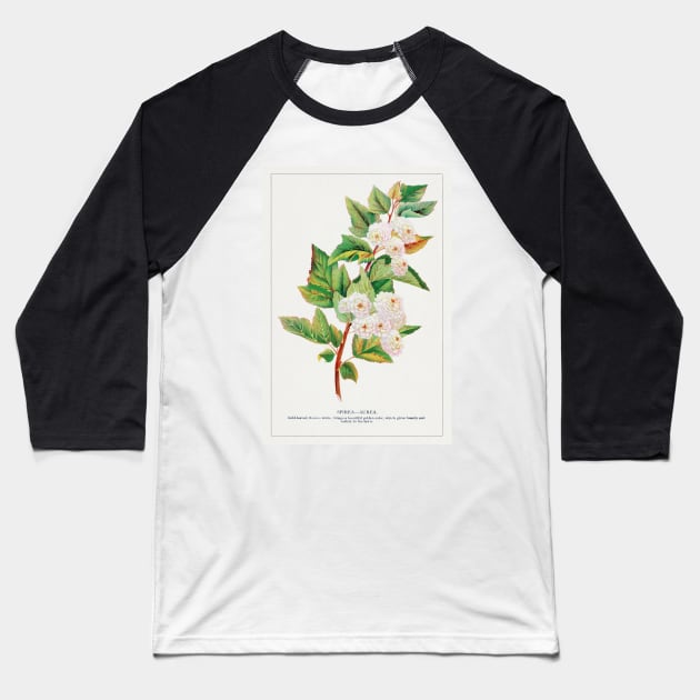 Spirea Aurea Flowers lithograph (1900) Baseball T-Shirt by WAITE-SMITH VINTAGE ART